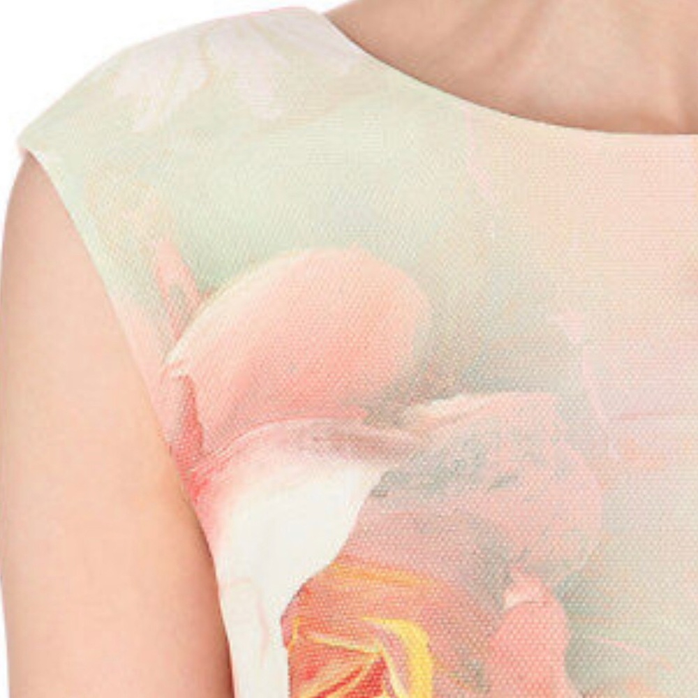 TED BAKER Damona Rose On Canvas Dress TED 3 US 6-8 - Picture 4 of 6